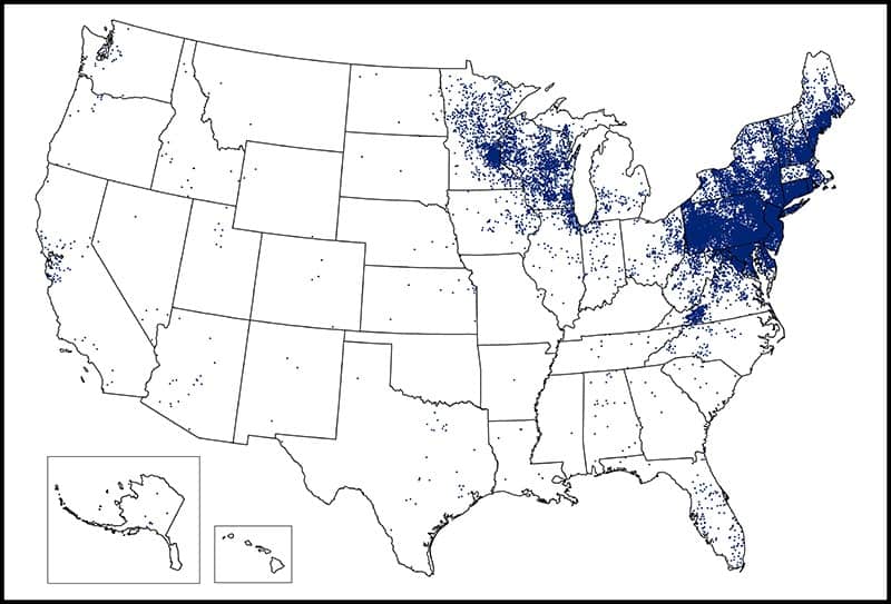 lyme disease