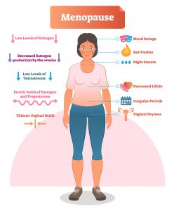 Does Estrogen Affect Blood Sugar Levels? Estrogen and Insulin Resistance