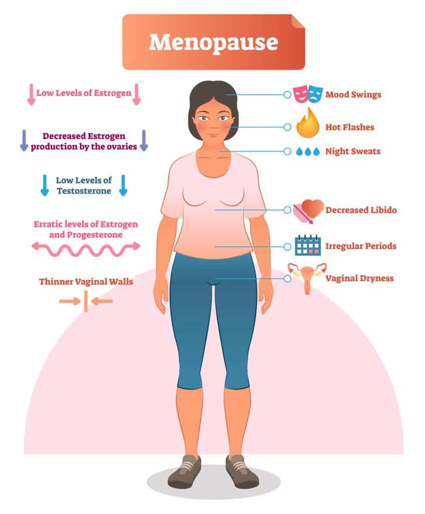 Estrogen and Insulin Resistance