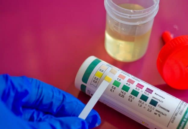 What Does Moderate Mean on Ketostix? Moderate Ketones - A Guide