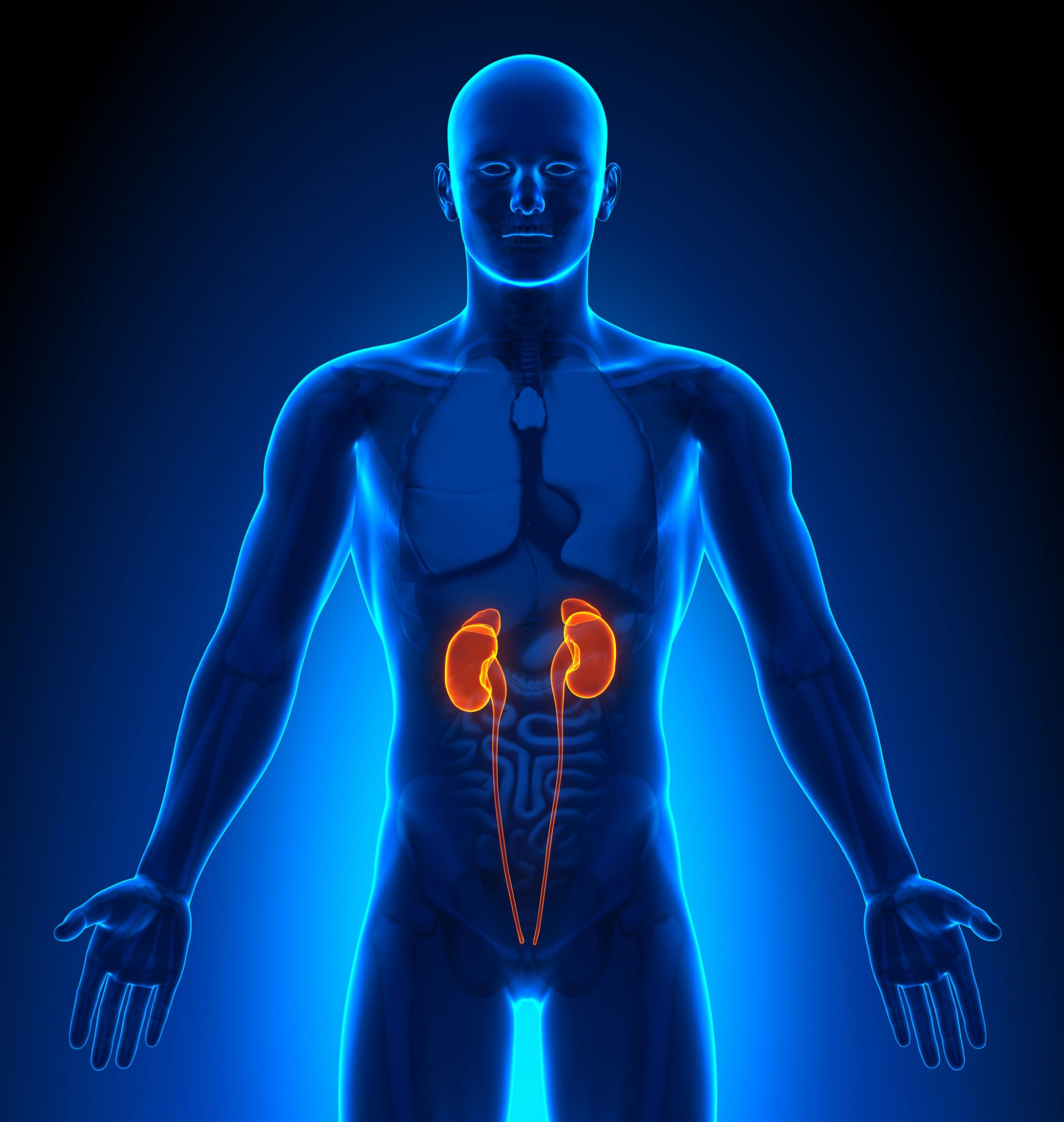 How Diabetes Affects Your Kidneys Causes, Symptoms, Treatment