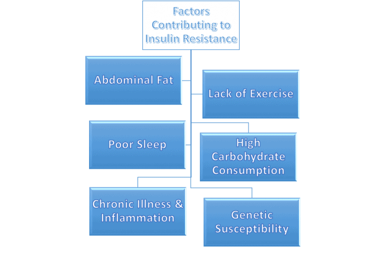 How to Combat Insulin Resistance – Can it be Reversed? A Guide