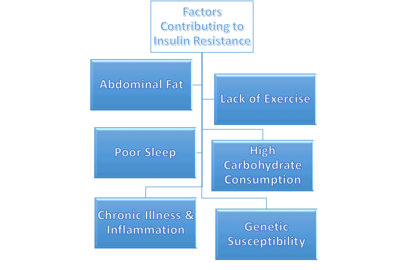 How to Combat Insulin Resistance Can it be Reversed? A Guide