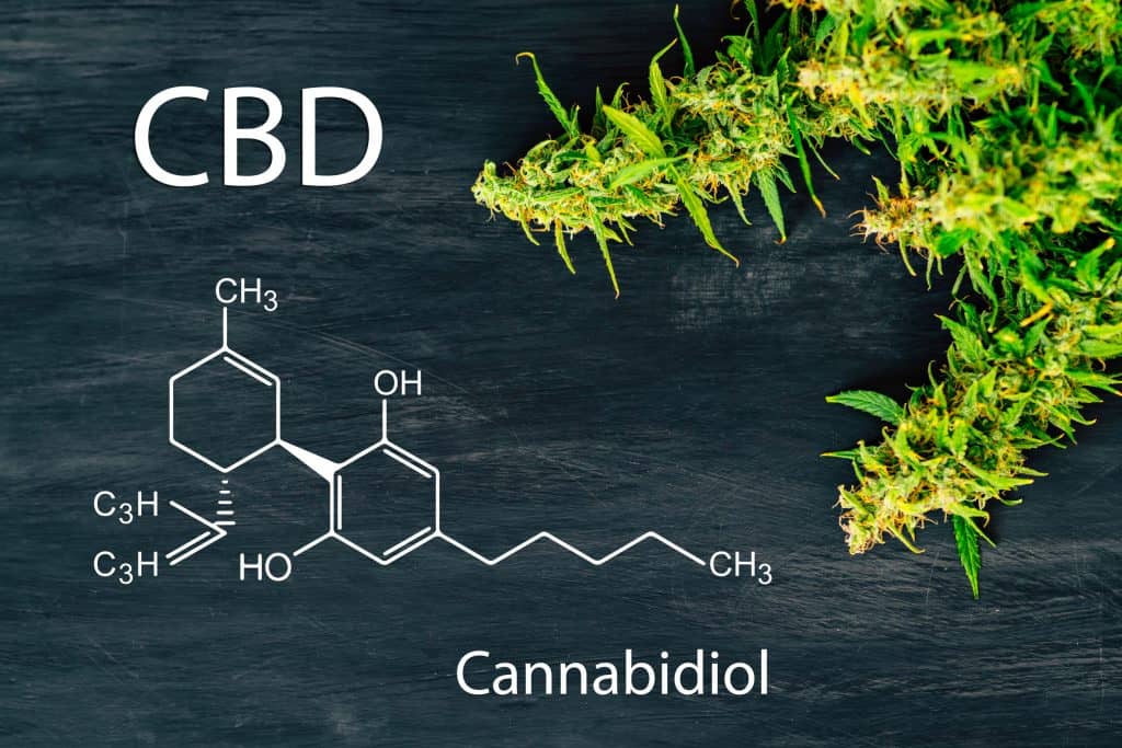 Cbd and kidney function