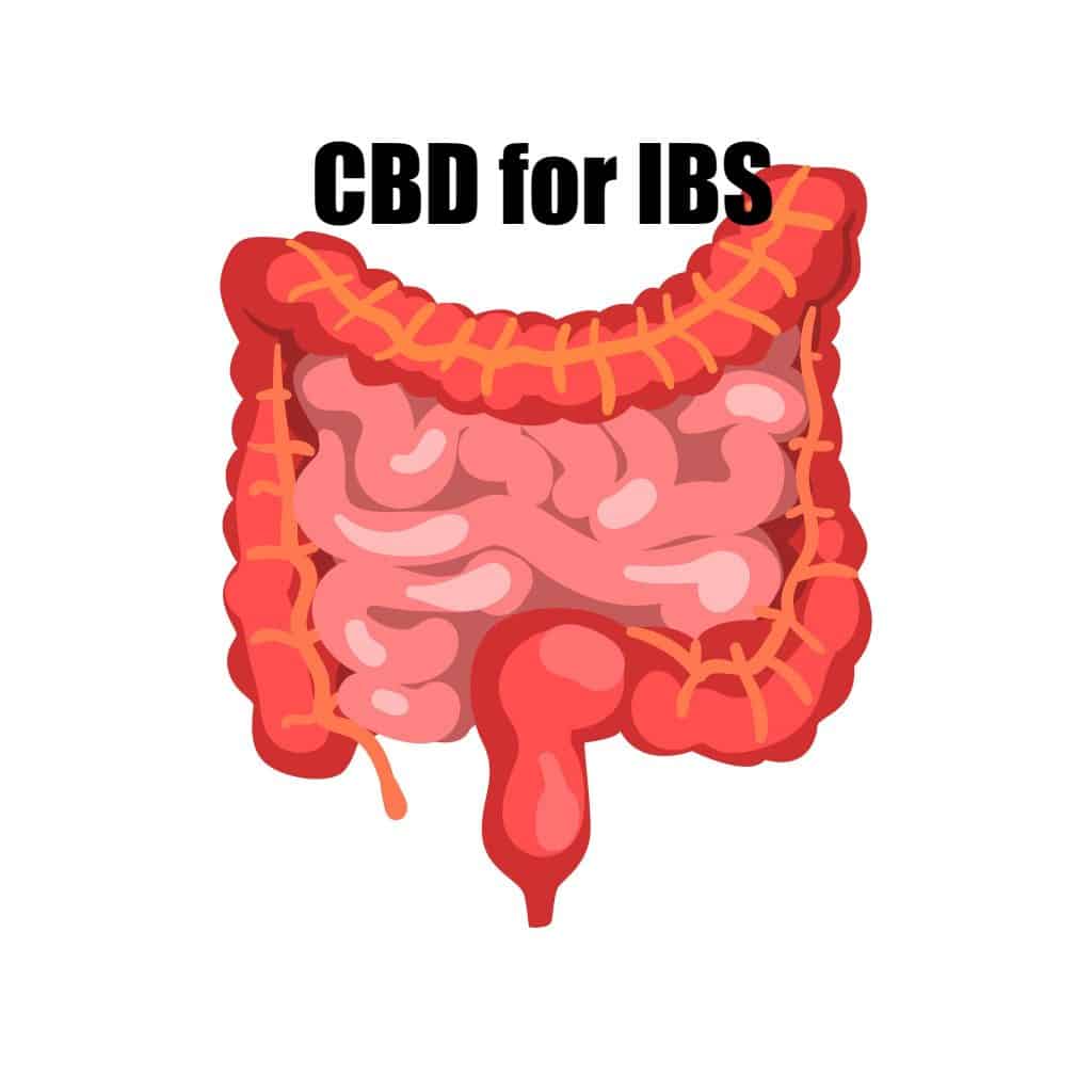 CBD Oil for IBS