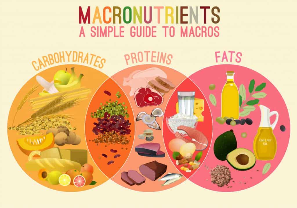 How to count macronutrients