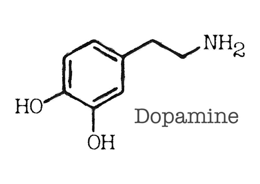 will vyvanse help me concentrate - dopamine