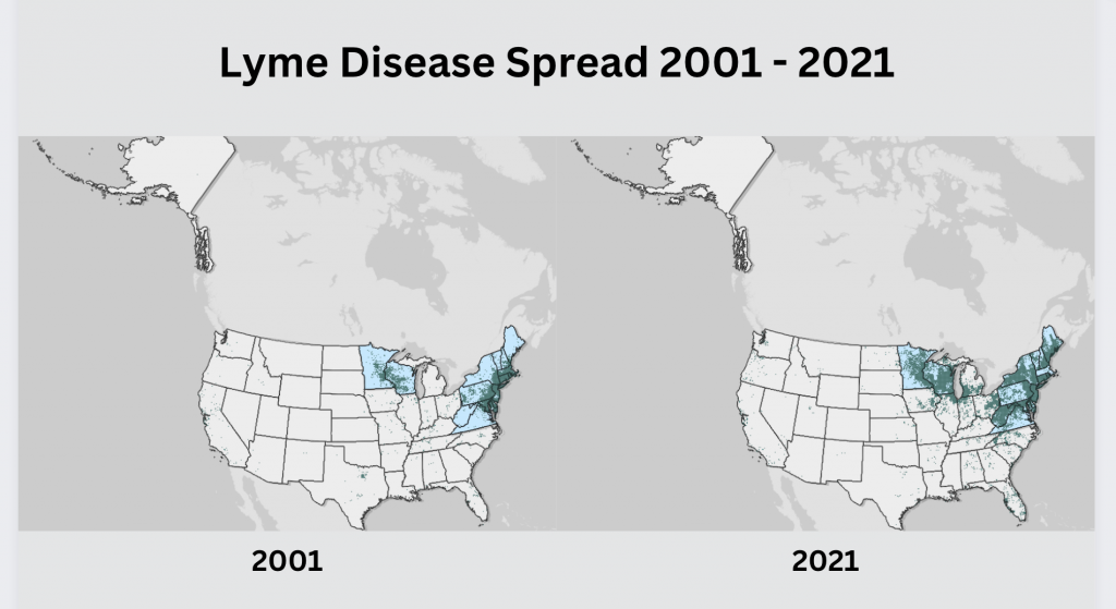 How serious is Lyme disease - Lyme Disease Spread 2001 - 2021 (USA)