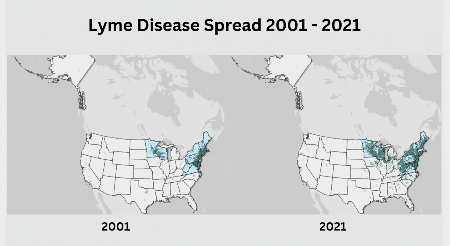 Preventing Lyme Disease Precautions for a Safer Outdoors