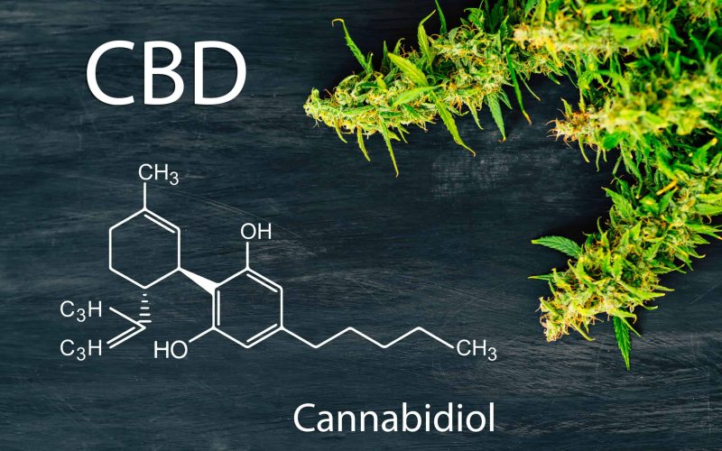 CBD-Oil-Side-Effects-on-Kidneys