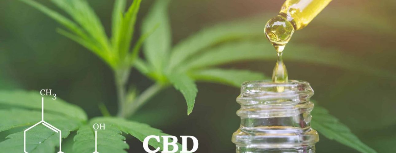 CBD  elements in Cannabis, Hemp oil, medical marijuana,  cannabinoids and health.