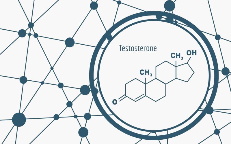 Chemical molecular formula hormone testosterone. Infographics illustration.