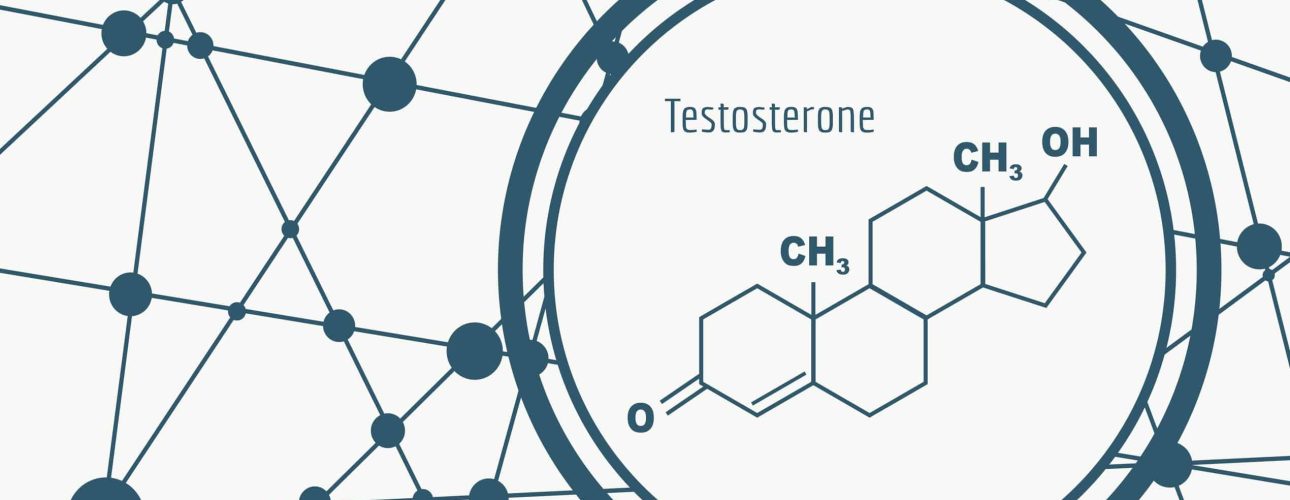 Chemical molecular formula hormone testosterone. Infographics illustration.