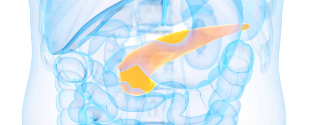 medical 3d illustration of the pancreas