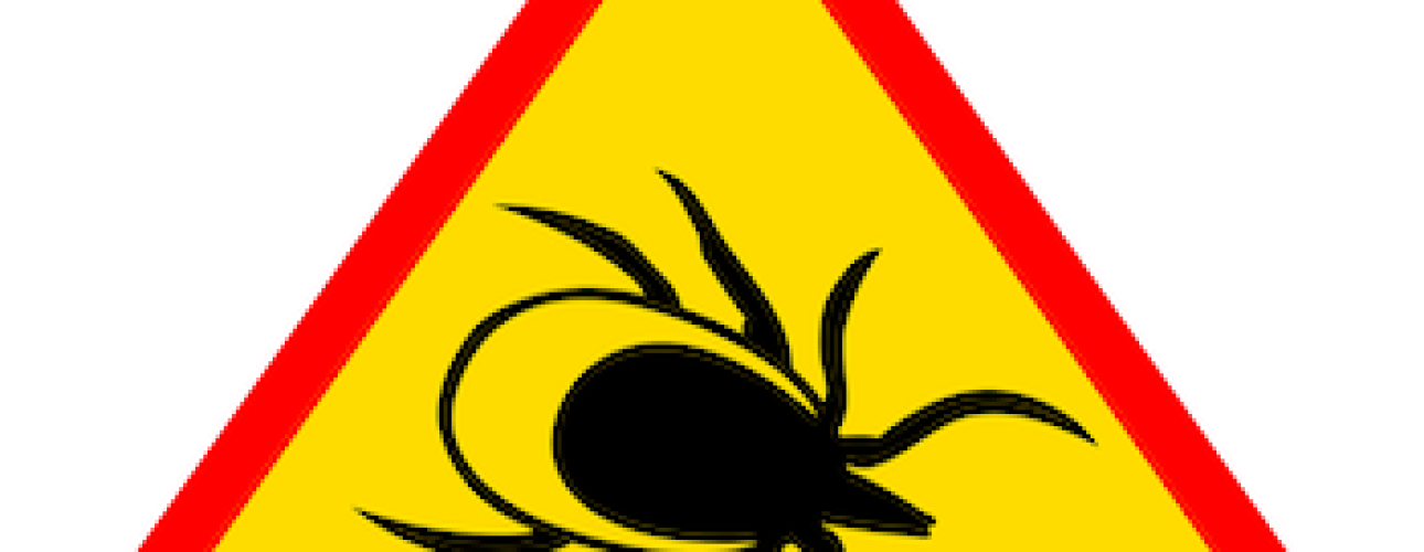 how serious is lyme disease