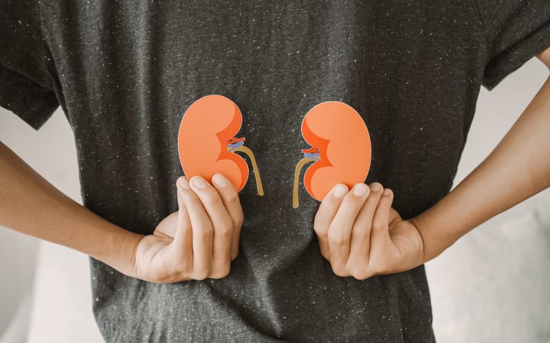 Nulojix for kidney transplant rejection prevention